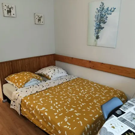 Pied Des Pistes Apartment